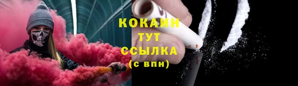 PSILOCYBIN Новодвинск